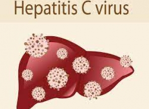 Những Điều Cần Biết Về Bệnh Viêm Gan C
